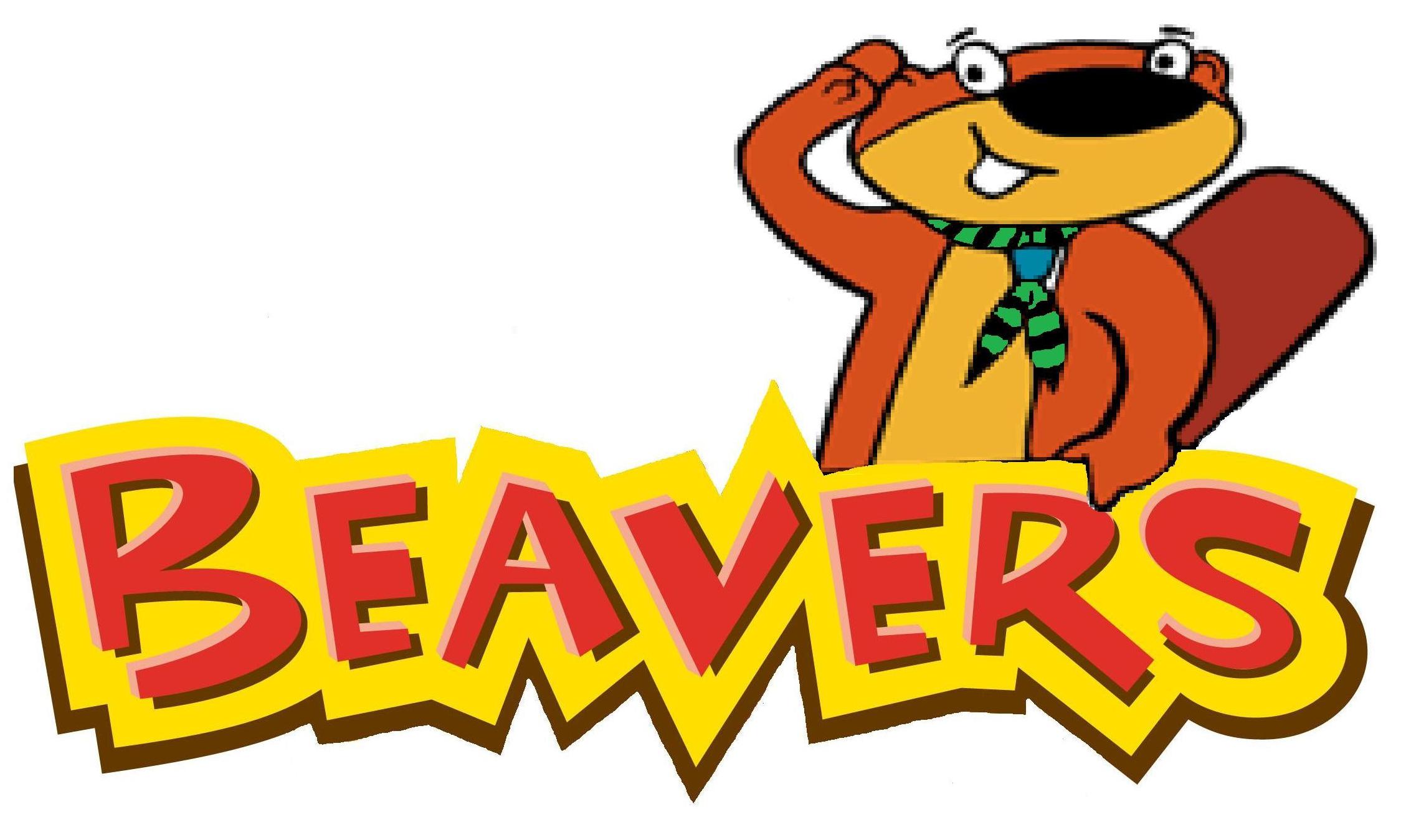 Earlston Scout Group Beavers